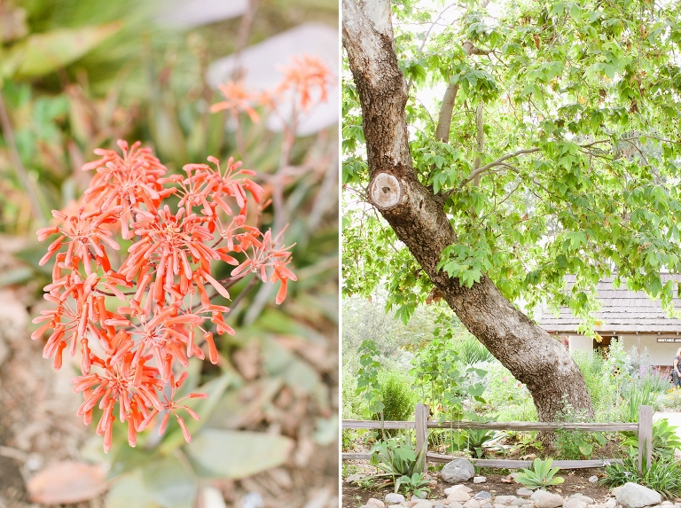 2014_Lorena_and_Eric_Engagement_Shoot_SJC-001