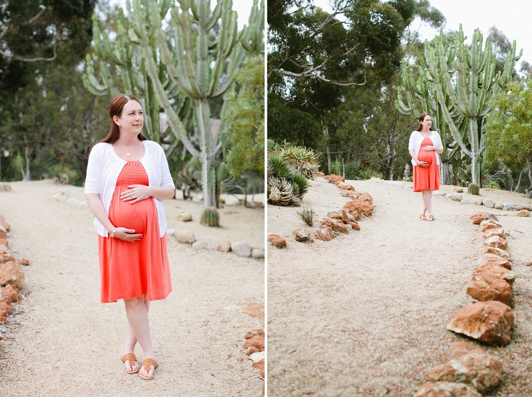 2014_Susan_Maternity_Shoot_San_Diego-007