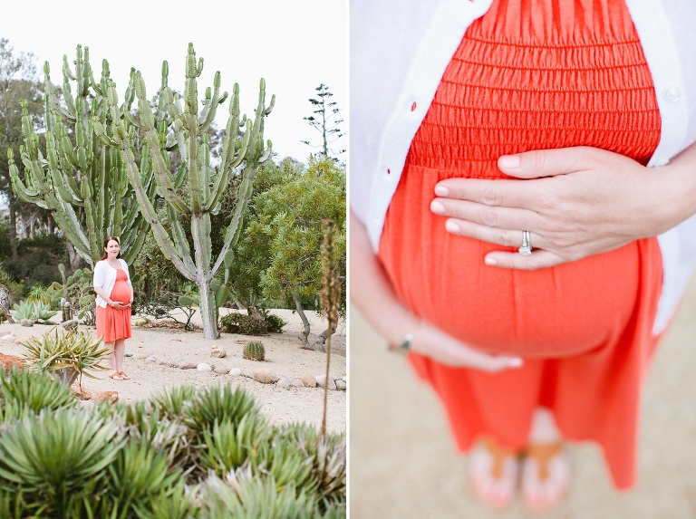 2014_Susan_Maternity_Shoot_San_Diego-014