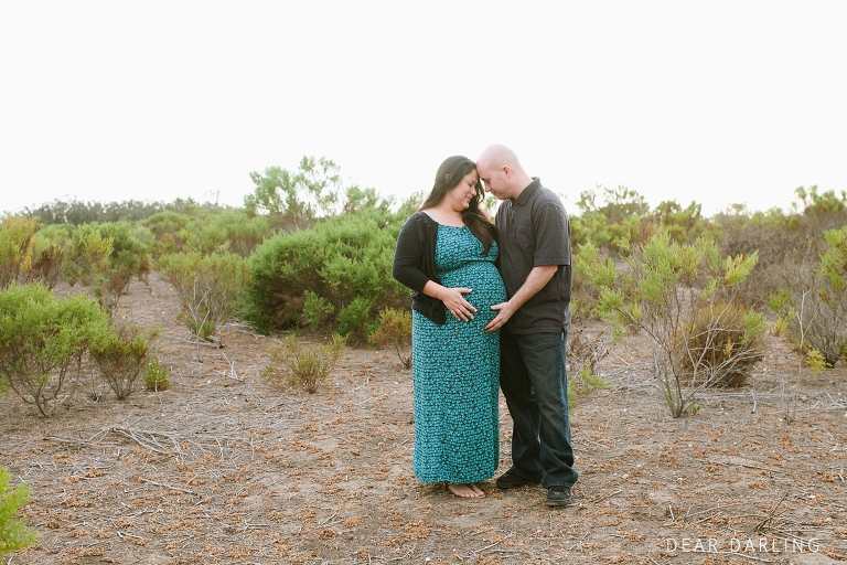2014_Baby_Shepherd_Maternity-005
