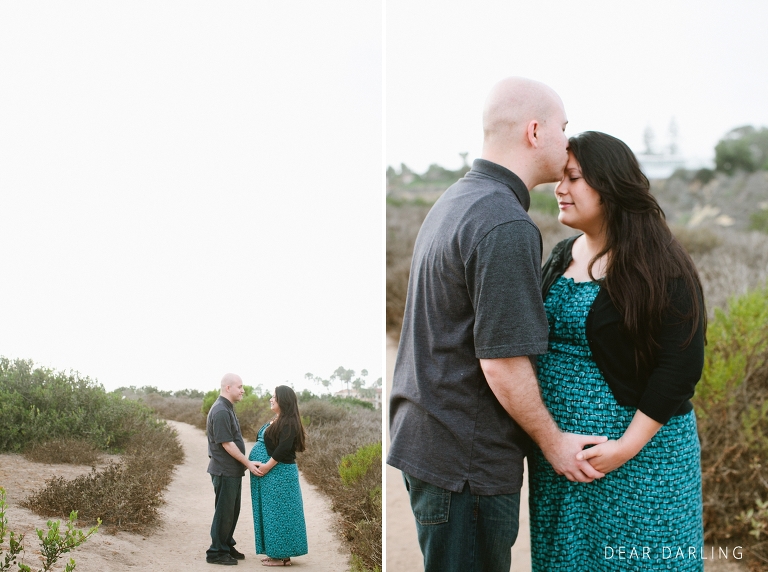 2014_Baby_Shepherd_Maternity-030