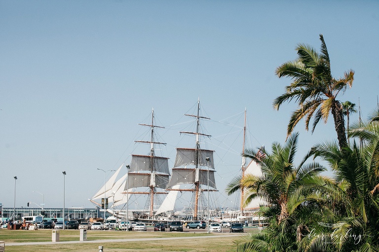 San Diego Harbor View