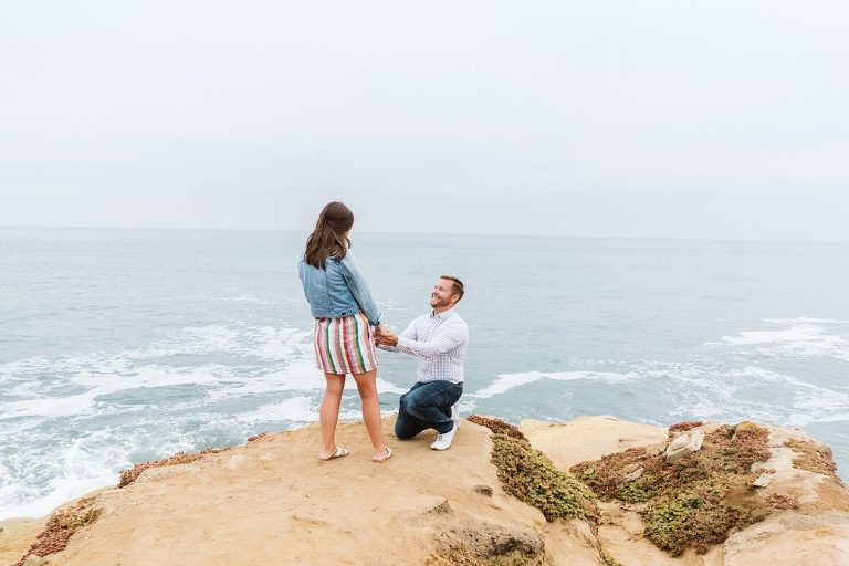 San Diego Surprise Proposal