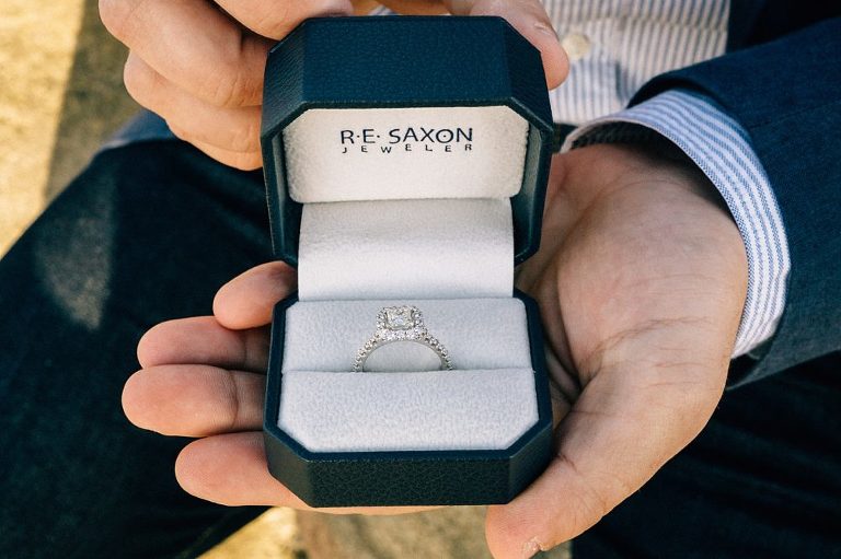 San Diego Surprise Beach Proposal