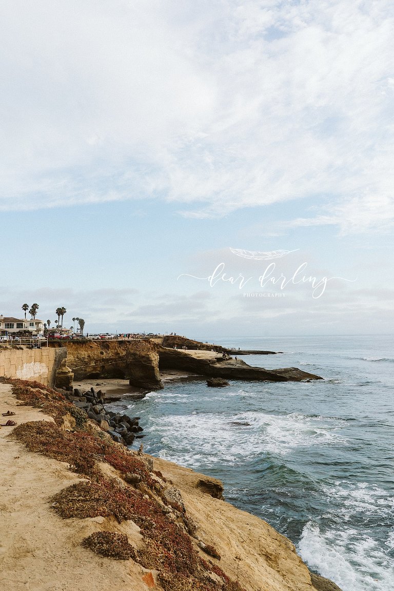 Sunset Cliffs Surprise Proposal