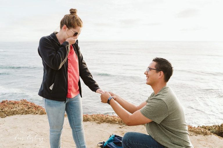 San Diego Surprise Proposal