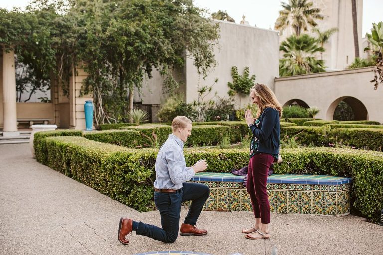 Balboa Park Surprise Proposal