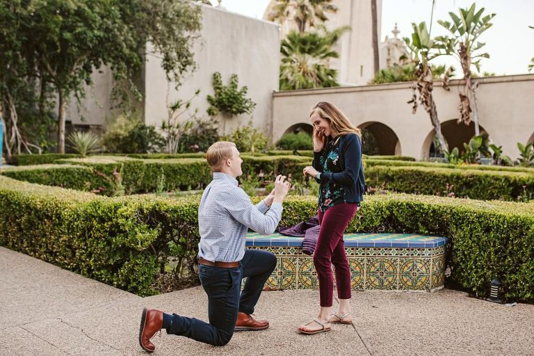 Balboa Park Surprise Proposal