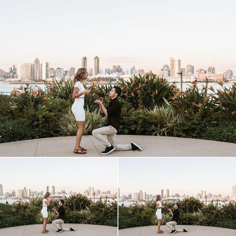 San Diego Surprise Wedding Proposal