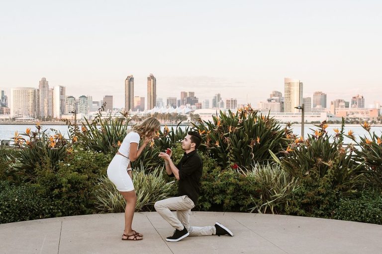 San Diego Surprise Wedding Proposal