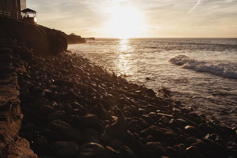 La Jolla Surprise Wedding Proposal