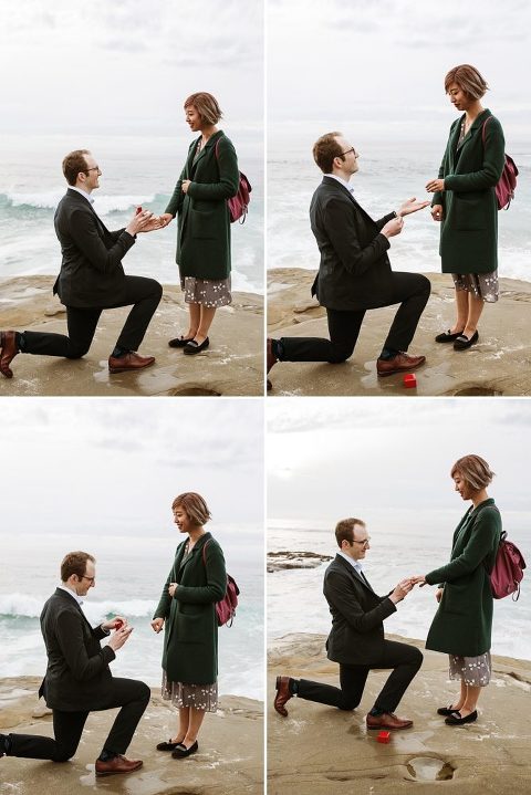 La Jolla Surprise Proposal