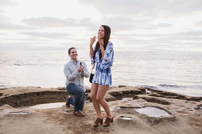 La Jolla Surprise Proposal