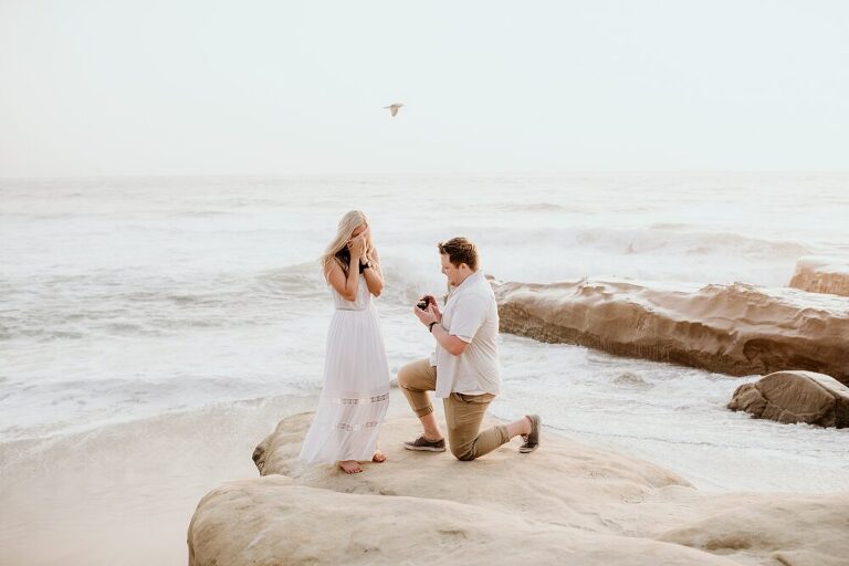 La Jolla Windansea Beach Surprise Proposal Nicole Jordan San Diego Photographer Wedding Engagement Surprise Proposal Family San Diego Photographer Orange County Photographer Engagement Photographer Lifestyle Photographer Family Photographer