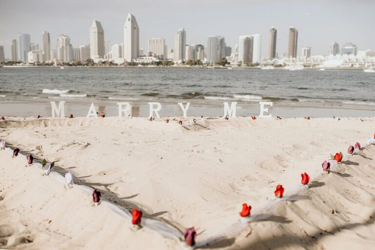 San Diego Surprise Proposal Photographer