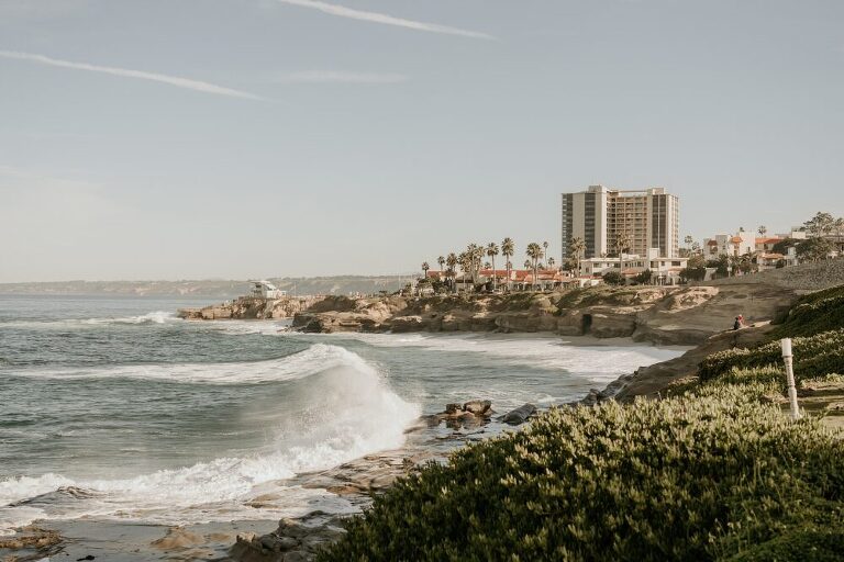 La Jolla Surprise Proposal