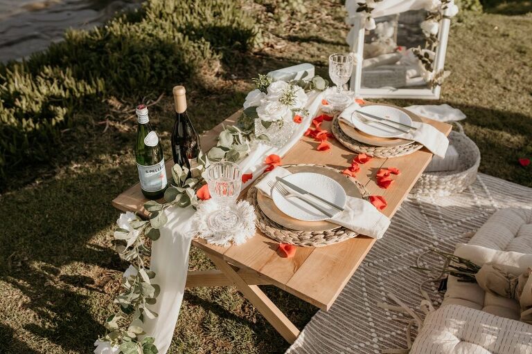 San Diego Proposal Picnic