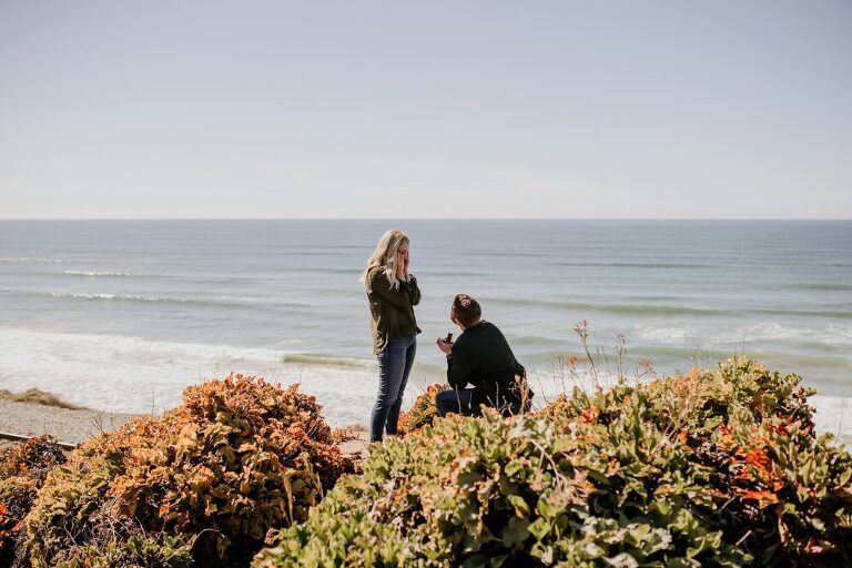 Del Mar San Diego Proposal