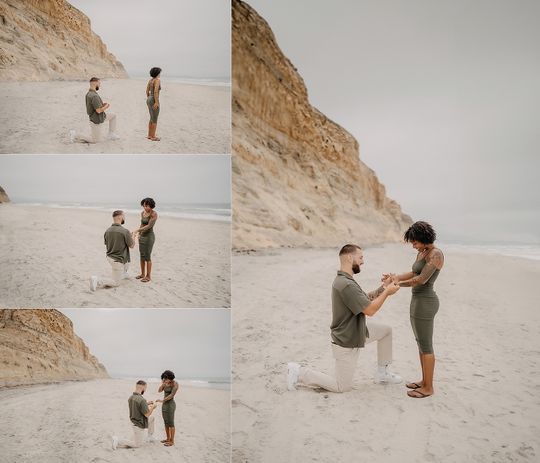 Torrey Pines Beach Proposal