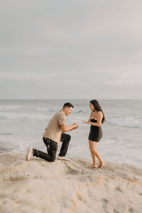 San Diego Surprise Proposal Photographer